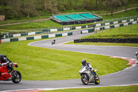 cadwell-no-limits-trackday;cadwell-park;cadwell-park-photographs;cadwell-trackday-photographs;enduro-digital-images;event-digital-images;eventdigitalimages;no-limits-trackdays;peter-wileman-photography;racing-digital-images;trackday-digital-images;trackday-photos